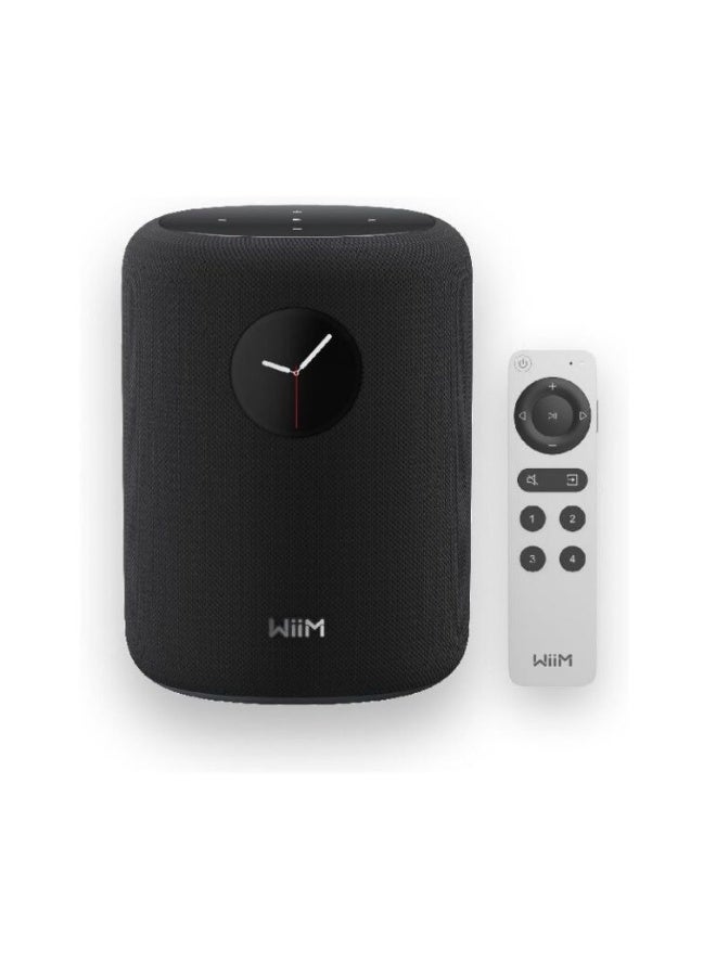 WiiM Sound – Smart Speaker - Image 2